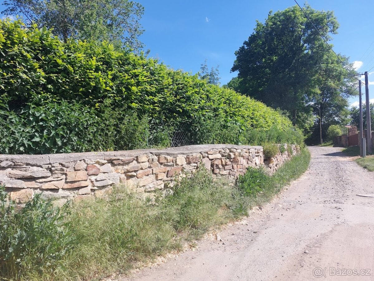 Plot před řezem